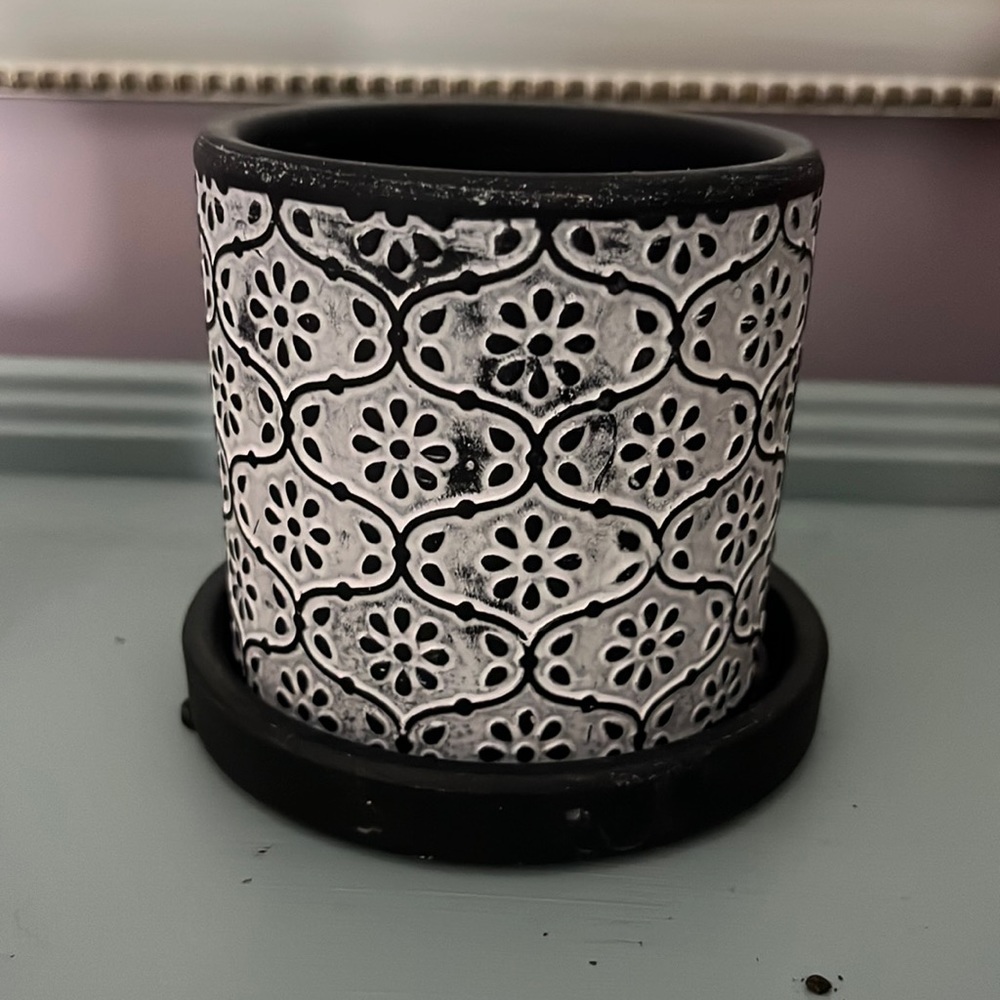Pot for plant